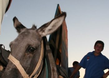 Foto: www.057info.hr