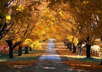Foto: smilehousecleaning.com
