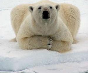 Foto: epedia.pbwiki.com