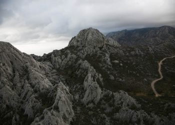 Foto: Zoran Erceg - HGSS
