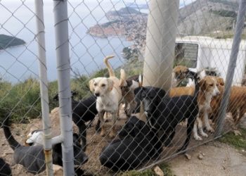 Foto: Slobodna Dalmacija
