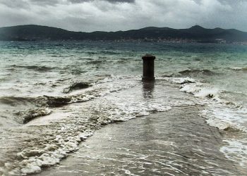 Foto: Danijela Pedišić
