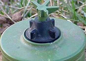 Foto: glas-slavonije.hr