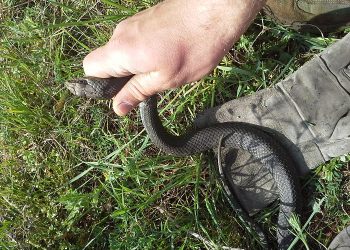 Foto: 057info (snimio čitatelj)