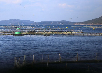 Foto: Zadarski list