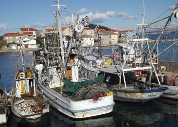 Foto: www.zdnews.hr