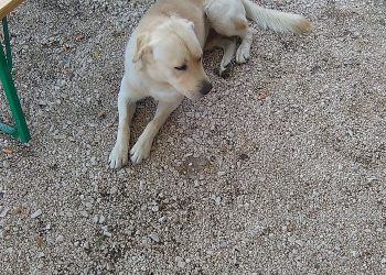 Foto: 057info (snimio čitatelj)