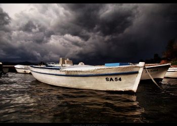 Foto: Danijela Pedišić