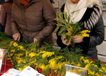 Foto: 057 info