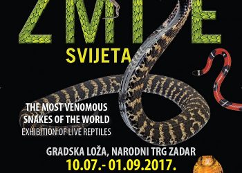 Foto: Narodni muzej Zadar