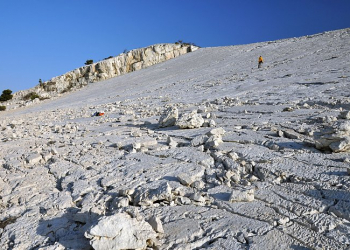 Foto: Quaternary International