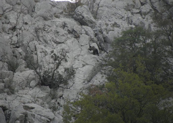 Foto: NP Paklenica