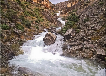 Foto: natura jadera