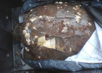 Foto: www.057info.hr
