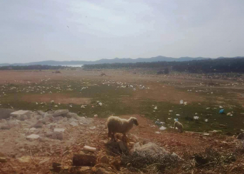 Foto: čitatelj