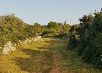 Foto: Naši školji