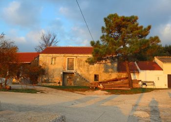 Foto: Filip Đinđić