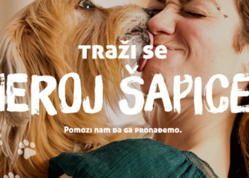 Foto: Bayer Foresto