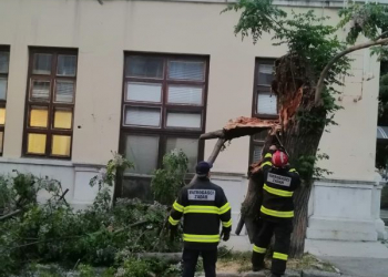 Foto: čitatelj