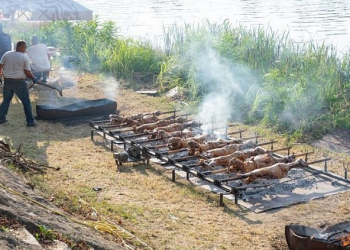 Foto: Ilutracija/Like Metković