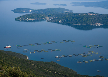 Foto: 057 info (Marko Dimić)