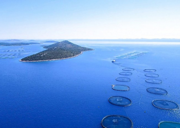Foto: Cromaris