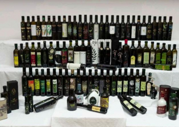 Foto: Noćnjak