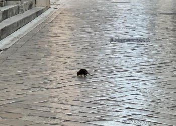 Foto: čitatelj