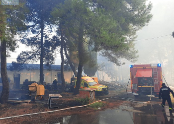 Foto: Naši škoji
