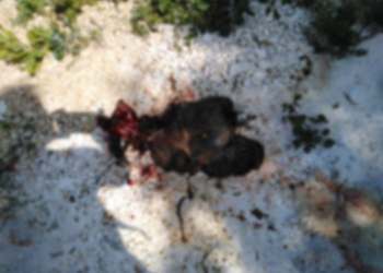 Foto: 057info - Čitatelj