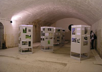 Foto: NP Paklenica