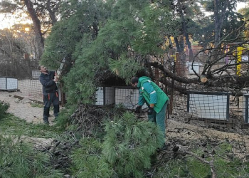 Foto: Zadarski azil