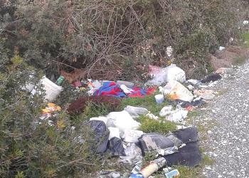 Foto: Trn u oku Zadar