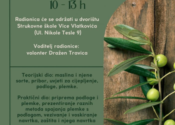 Foto: 057info