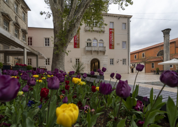 Foto: Tomi Burčul