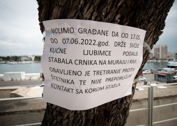 Foto: Saša Čuka