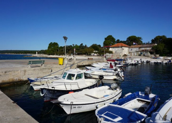 Foto: ŽLU Zadar