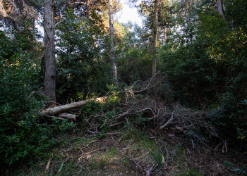 Foto: 057info (Saša Čuka)