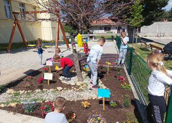 Foto: DV Sunce