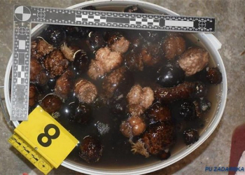 Foto: PU zadarska