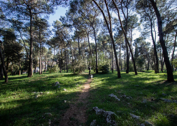 Foto: 057info (Saša Čuka)