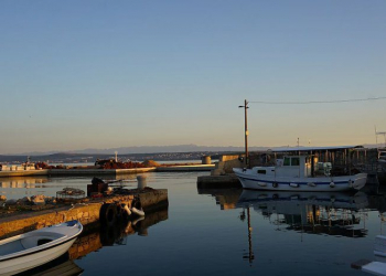 Foto: ŽLU Zadar