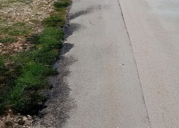 Foto: Mladen Ćustić