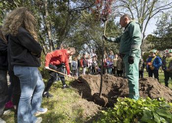 Foto: Tomi Burčul