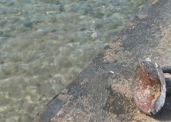 Foto: Screenshot/RTL danas