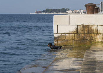 Foto: Tomi Burčul