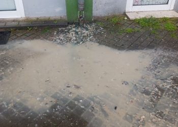 Foto: Čitatelj