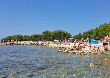 Plaža Pedinka, otok Vir, Hrvatska