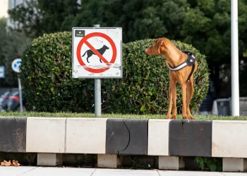 Foto: Tomi Burčul
