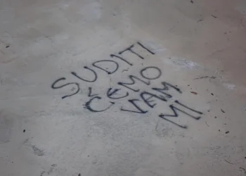 Foto: Čitatelj